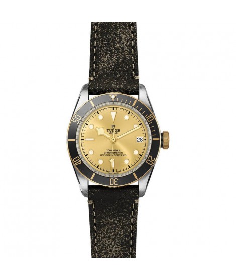 Tudor BLACK BAY 79733N-0003 41mm