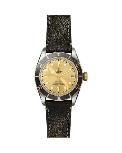 Tudor BLACK BAY 79733N-0003 41mm