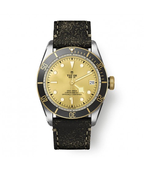 Tudor BLACK BAY M79733N-0003 41mm