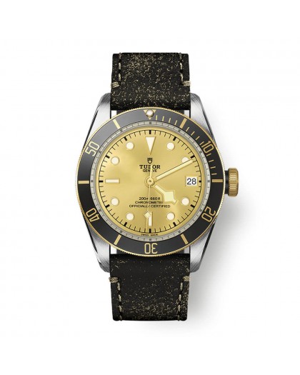 Tudor BLACK BAY M79733N-0003 41mm