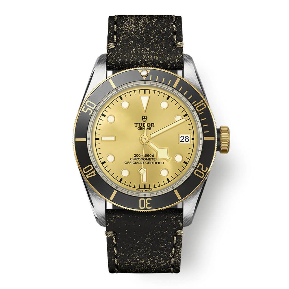 Tudor BLACK BAY M79733N-0003 41mm